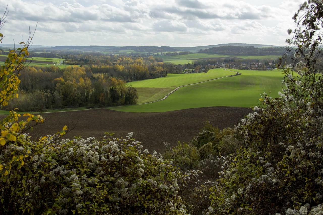 Le Lodge Des Bruyeres Mont-Notre-Dame ภายนอก รูปภาพ